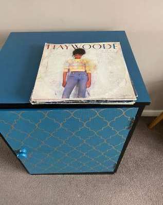 vinyl record storage&nbsp;unit