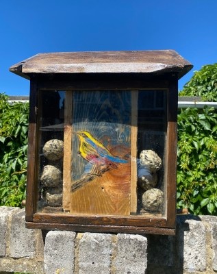 Glass fronted small bird fat ball&nbsp;feeder